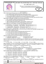 Đề kiểm tra 45 phút học kỳ I - Năm học 2015-2016 môn sinh học 12